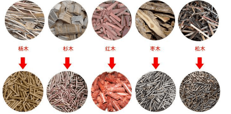 生物質顆粒機設備:環保與綠色能源的領航者 生物質顆粒機設備:環保與綠色能源的領航者